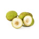 Breadfruit / Kadachakka (Root Cutting) Plant - Image 2