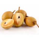 Chikoo / Sapota (Desi, Grafted) Fruit Plant - Image 2