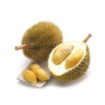 Durian (Seedling) Fruit Plant - Image 5