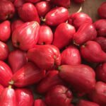 Wax Apple / Chamba (Thai Red, Layer) Fruit Plant - Image 2