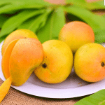 alphonsa mango
