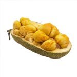 chembadka plants online