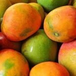 kottukonam mango