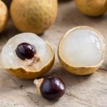 longan fruit plant