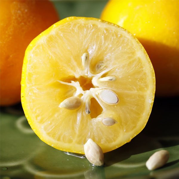 market lemon fruit