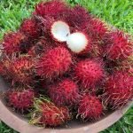inside of n18 rambutan
