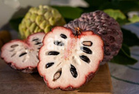 red custard apple
