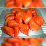 Jackfruit (Red Jack, Bud) Fruit Plant | Deang Surya - Image 2
