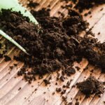 soil and fertilizer