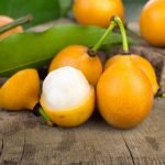 Buy Achachairu Sapling Fruit Live Plant Online