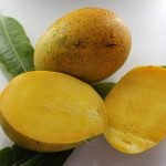 inside of imam pasanth