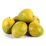 malgova mango