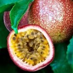 Passion Fruit (Red, Layer) Plant - Image 2