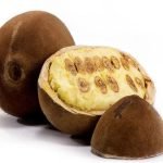 cupuassu plant seedling