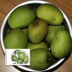 kalluketty manga live plants online