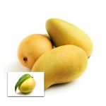 kilichundan mambazhm live plants