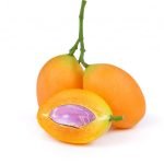 maprang plant seedling