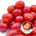 nance red fruit plant