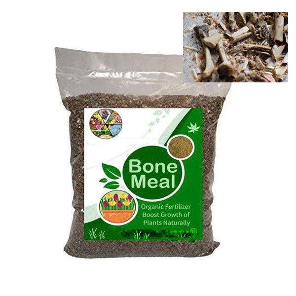 ellupodi online sale