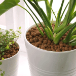 clay balls