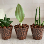 clay balls