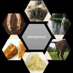 jeevamruth