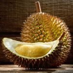 durian musang king
