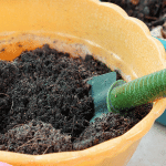 potting mix