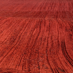 red soil