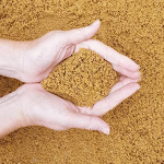 river sand bharathapuzha