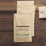 pseudomonas flurocense