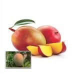 sindhooram manga live plants