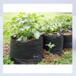 plastic grow bags