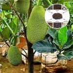 organic fertilizer mix