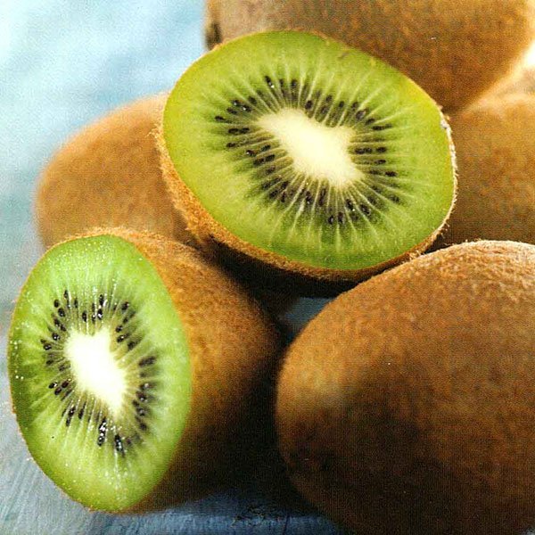 kiwi fruit