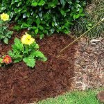 mulch as coconut husk