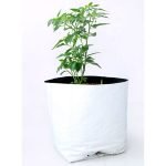 grow bags