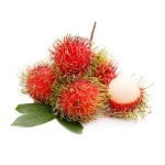 live plant of rambutan school boy