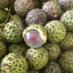 alupag fruits online