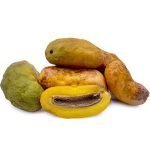 live olasapo fruits plant