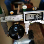 Jabuticaba (Oblongata, Layering) Fruit Plant - Image 2