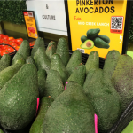 purchase pinkerton avacado plant