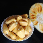 Jackfruit (Cambodian, Bud) Fruit Plant | All Season Jack - Image 4