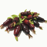 Savannah Cherry (Eugenia Calycina) Fruit Plant - Image 5