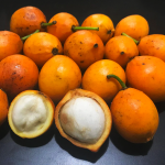 Bacupari (Seedling) Fruit Plant - Image 4