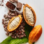 cocoa bean fruit plant