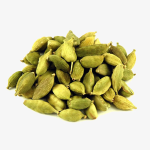 Cardamom / Elam (Seedling) Spice Plant - Image 4