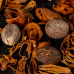 Nutmeg / Jaadhika (Kerala, Bud) Spice Plant | Hybrid Variety - Image 2