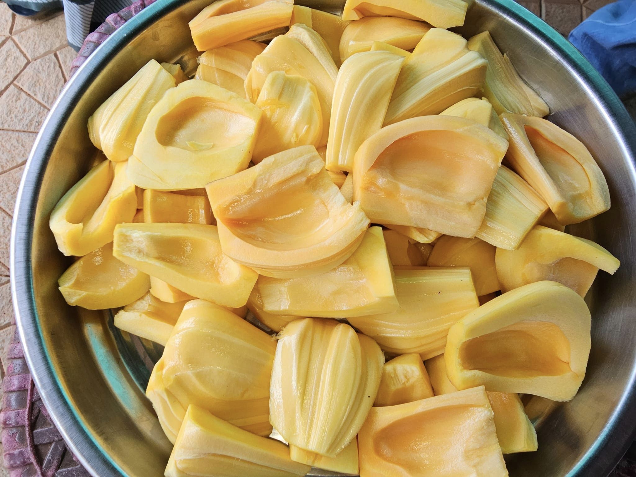 Ayur-Jack-Farm-Kurumalkunnu-Thrissur-3