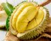 Everything You Should Know About Durian Fruit